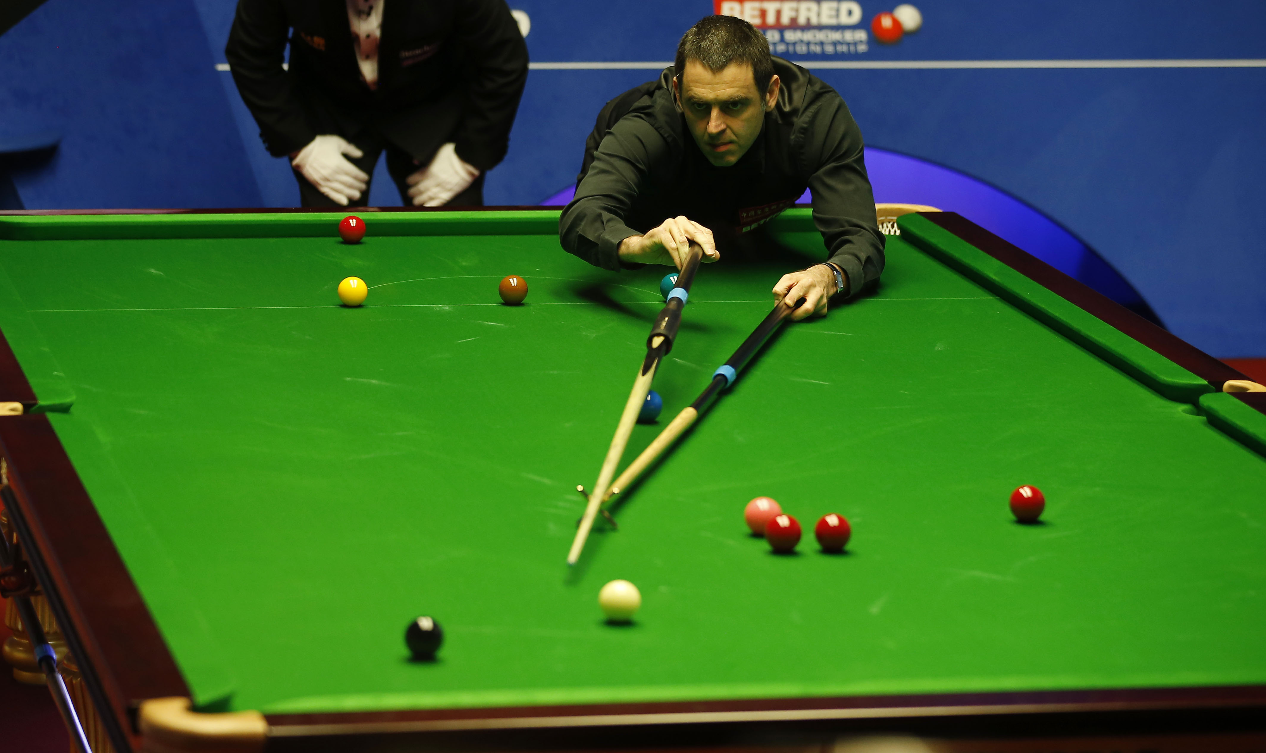 此次夺冠也 此次夺冠也