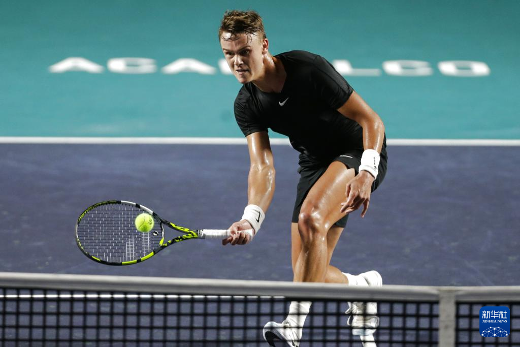 之间的默契 之间的默契