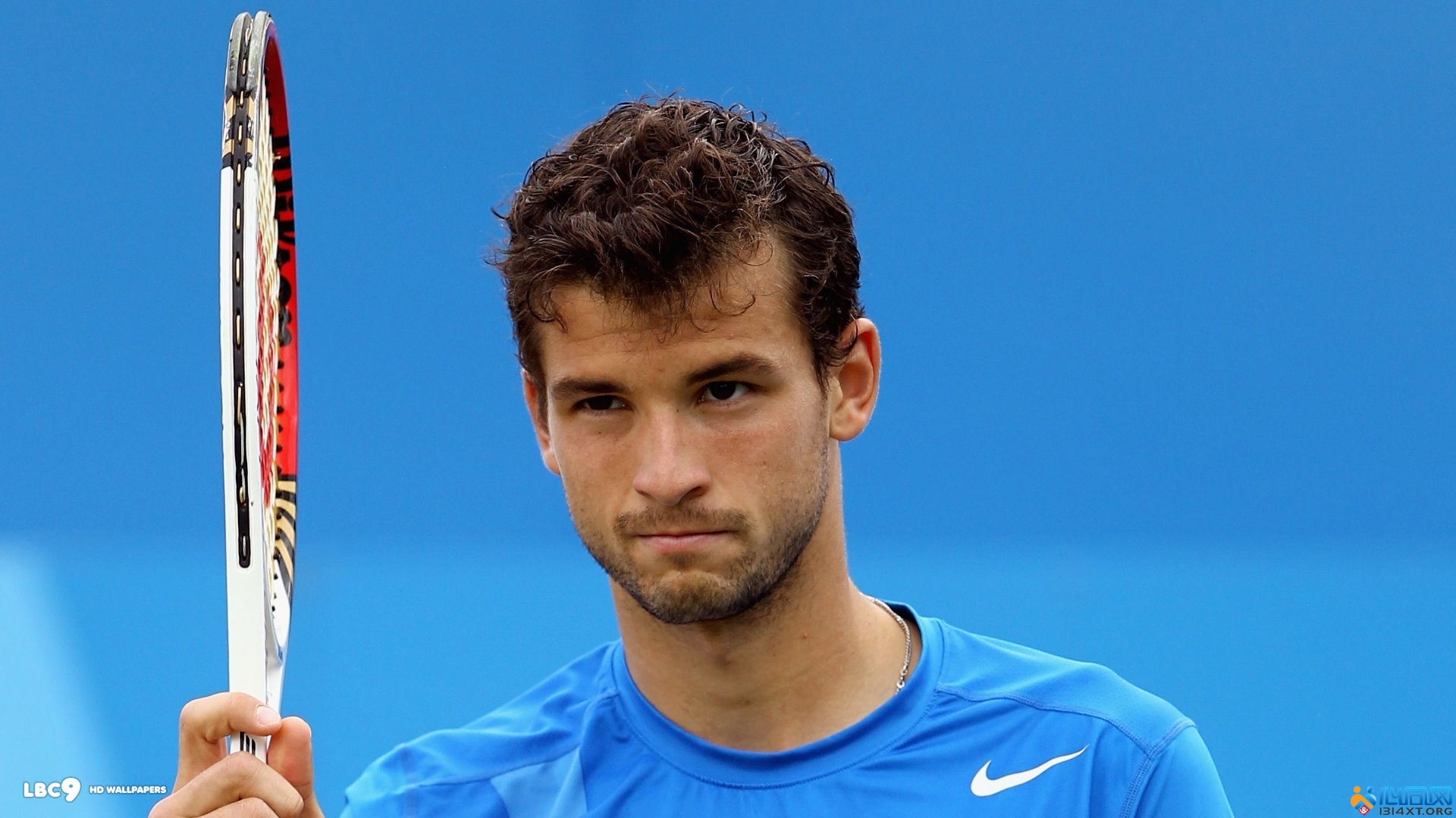 独行侠队 独行侠队