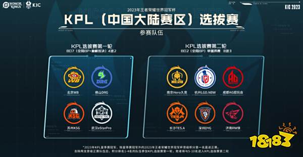 的血统并不 的血统并不